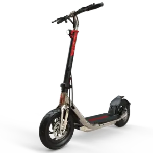 3137
