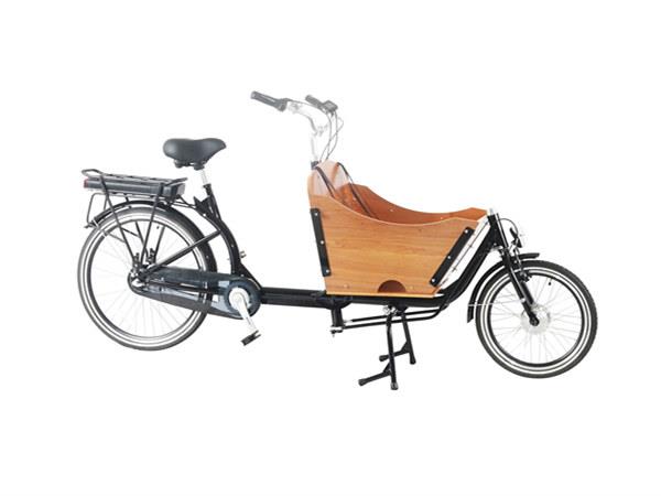 אופניים חשמליים מתקפלים עם מושב עץ, מתאימים לשימוש עירוני ונוחים לניהול תחזוקה נכונה.