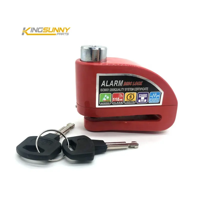 מנעול דיסק צפצפה, התיקון הכללי