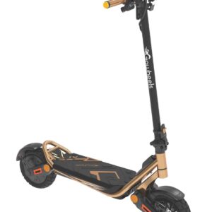 12590